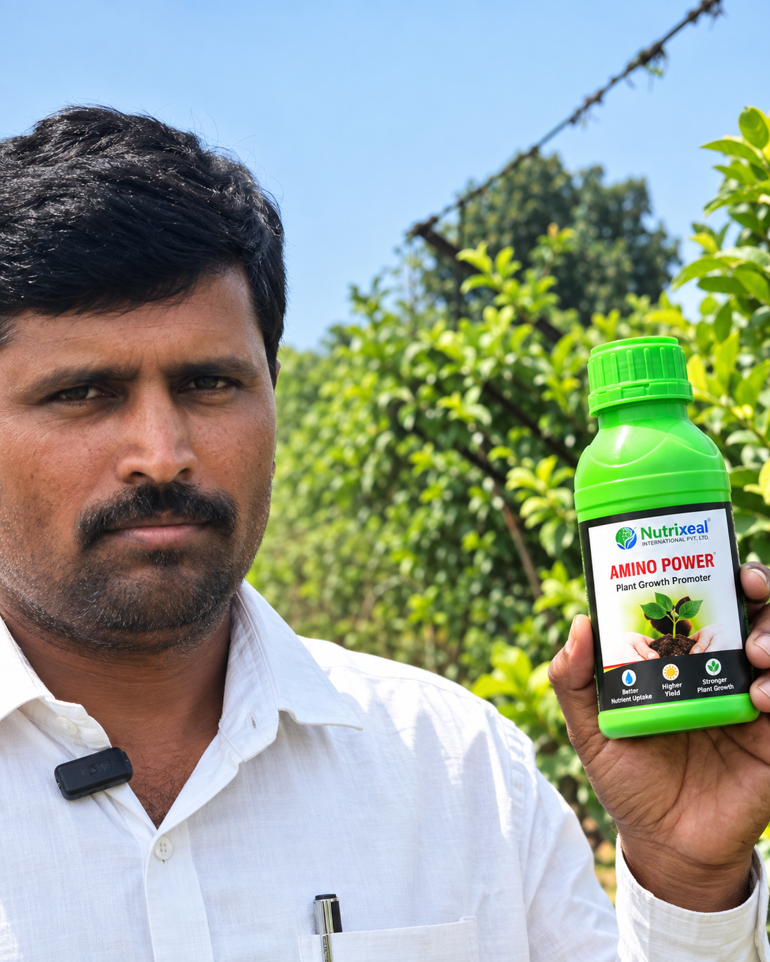 Vineyard trial in Nashik belt