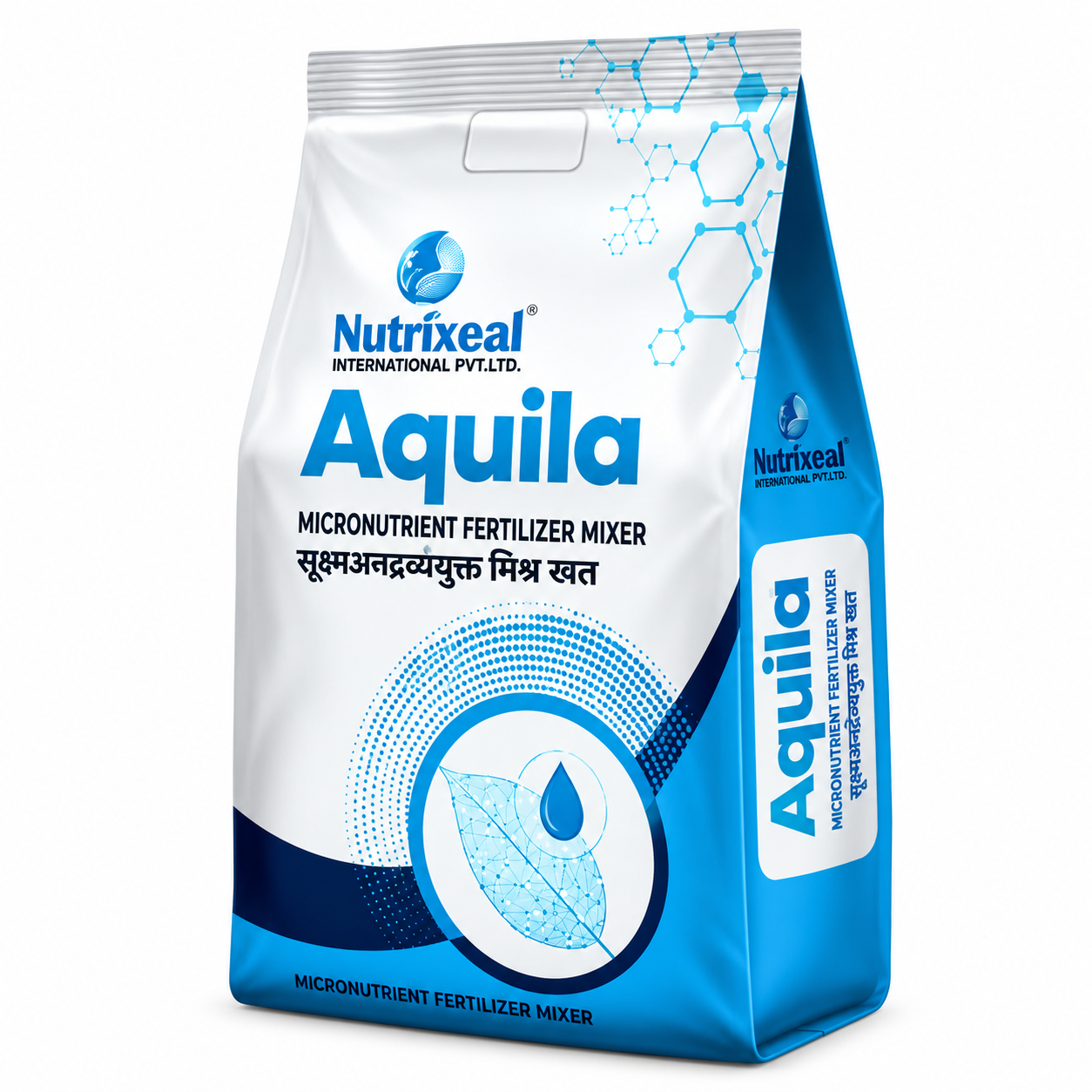 Aquila